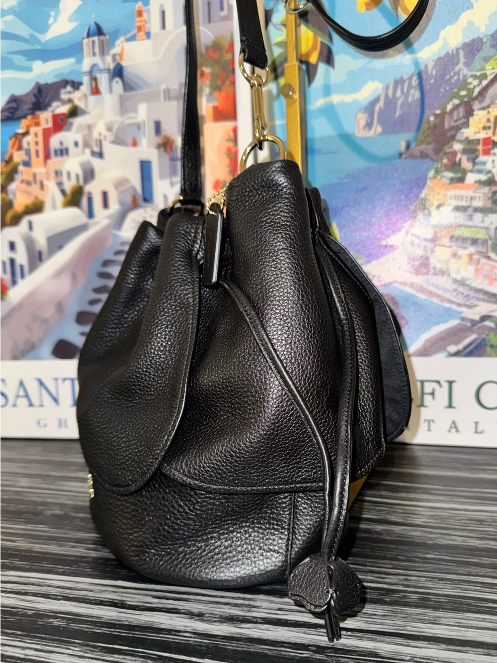 COACH Petal Tea Rose 22 Bucket Bag Black Pebble Leather - Like New 2017 (F11807) - Picture 8 of 15